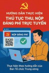 Ảnh Internet