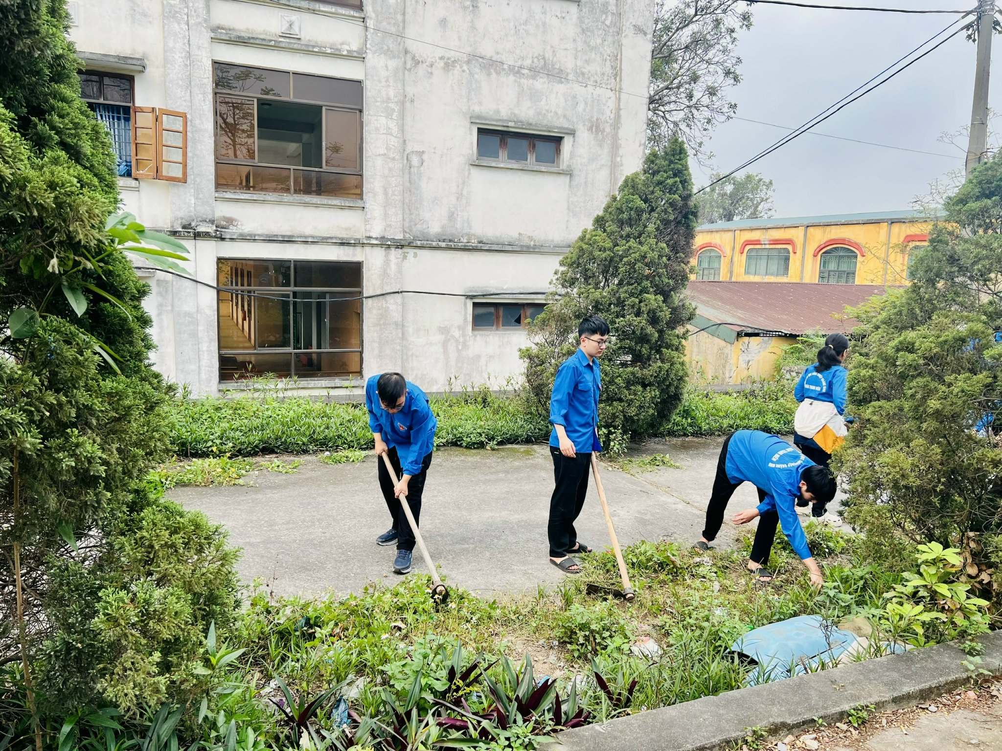 z7645194920986 f6296f9db62c39e2fc84a7135f3ae39f