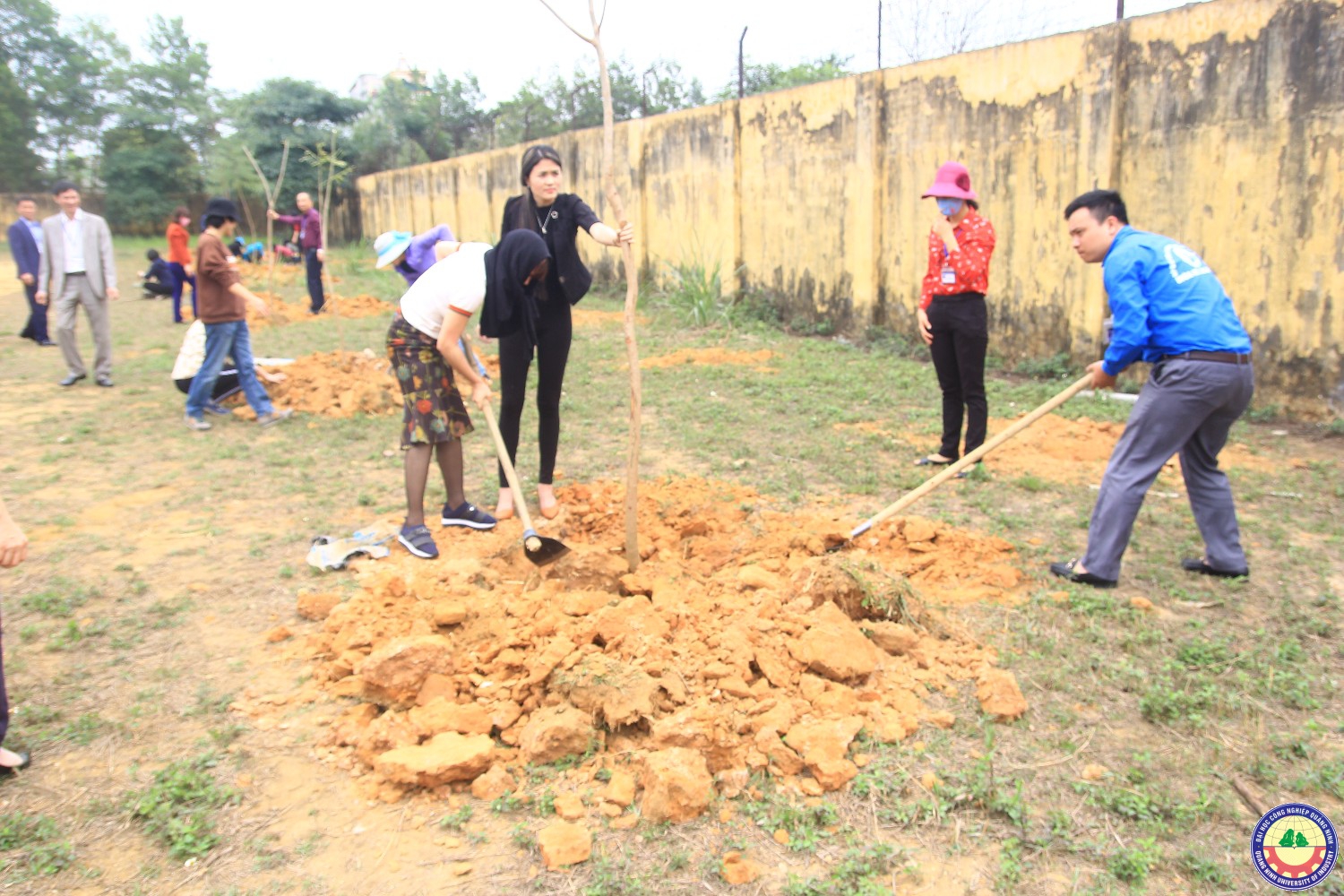 Khởi động tháng thanh niên và phát động tết trồng cây 2018