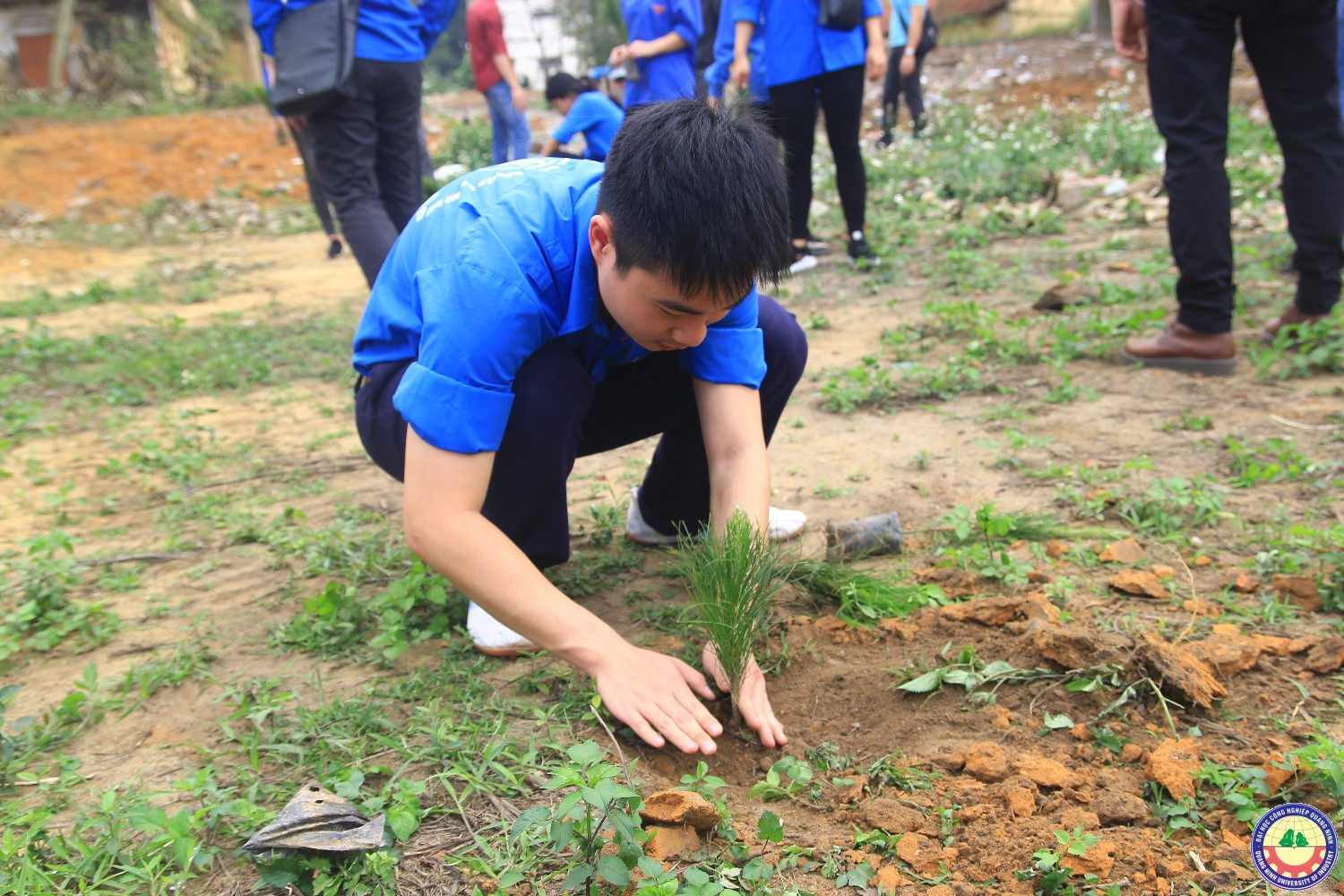 Khởi động tháng thanh niên và phát động tết trồng cây 2018